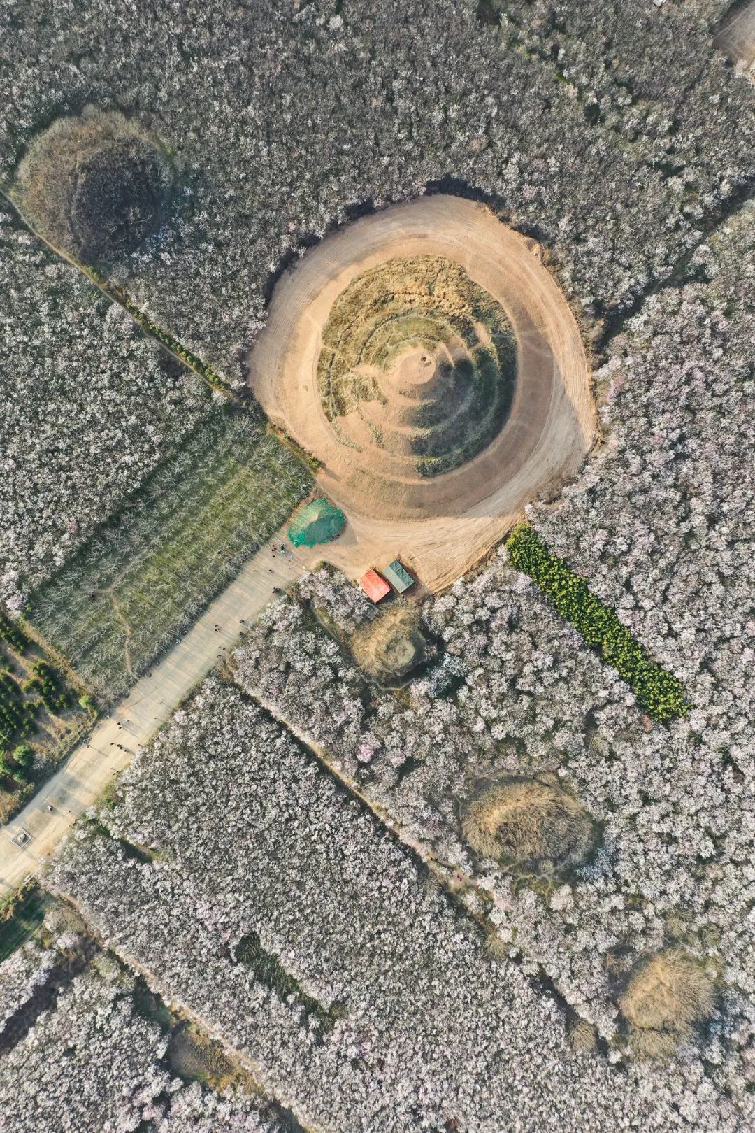 broken image